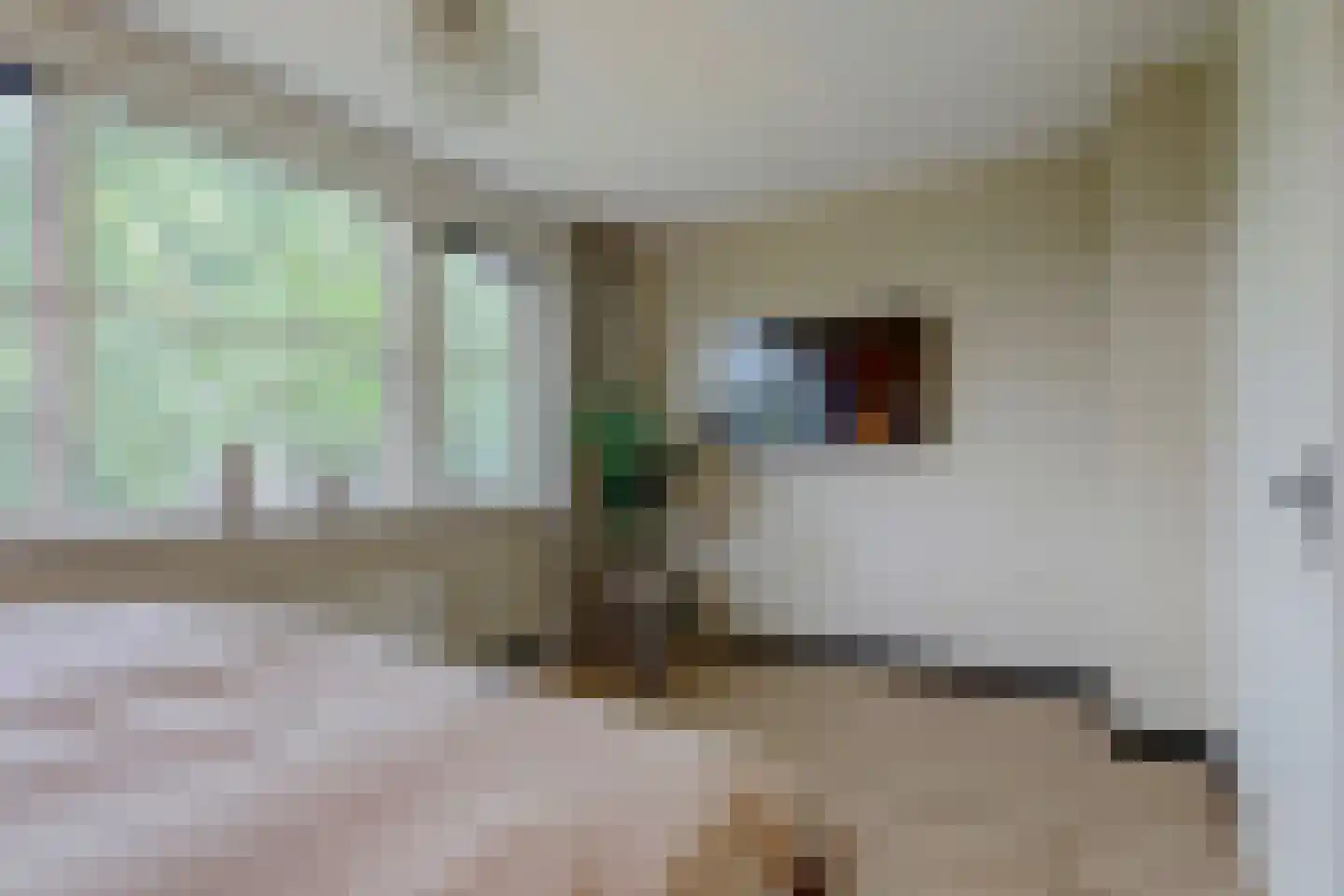Patrijshof 9 Strijen thumbnail 32