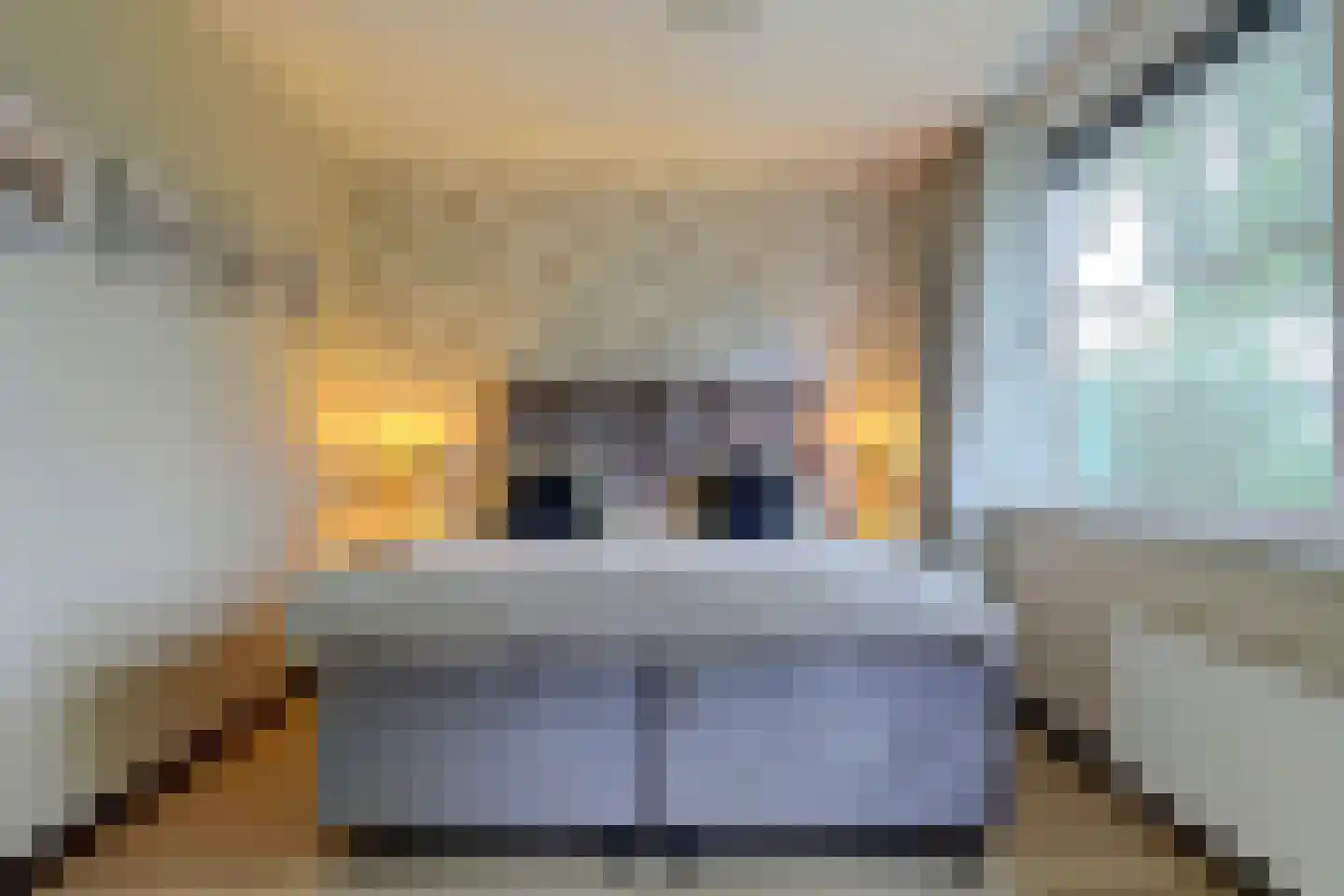 Patrijshof 9 Strijen thumbnail 33