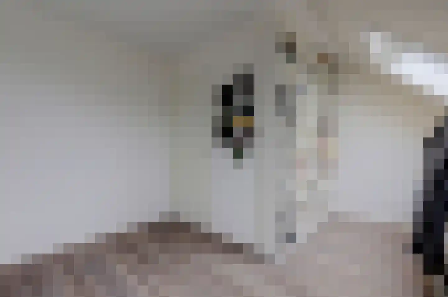 Patrijshof 9 Strijen thumbnail 38