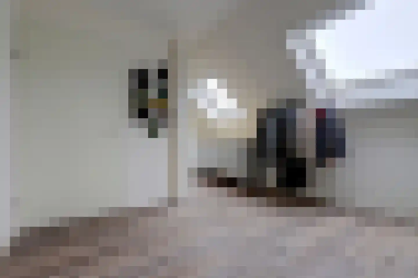 Patrijshof 9 Strijen thumbnail 39