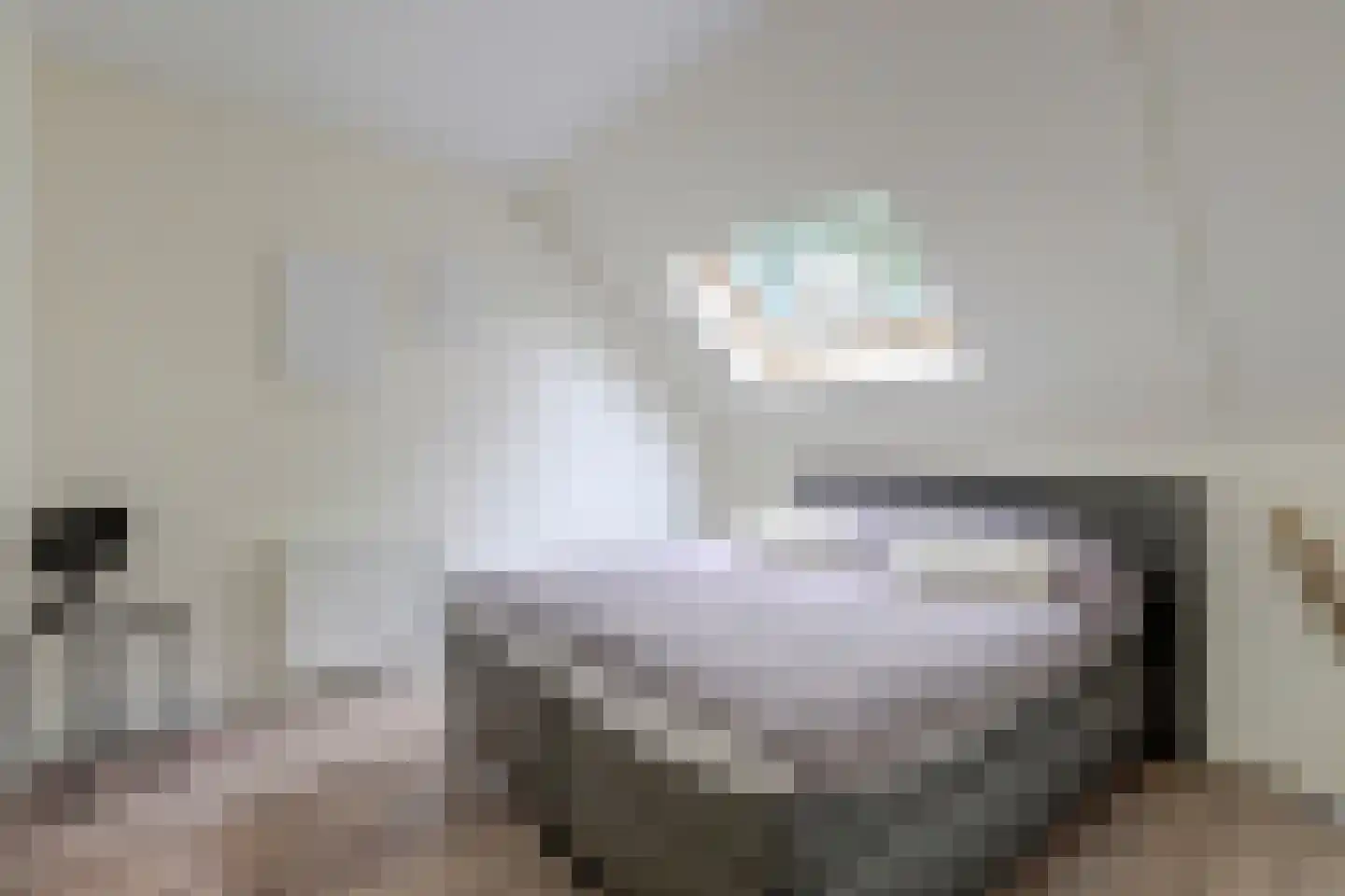 Patrijshof 9 Strijen thumbnail 43