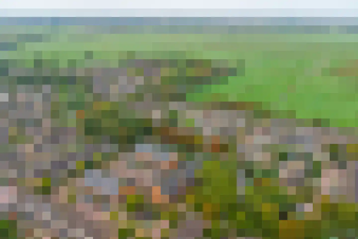 Patrijshof 9 Strijen thumbnail 50