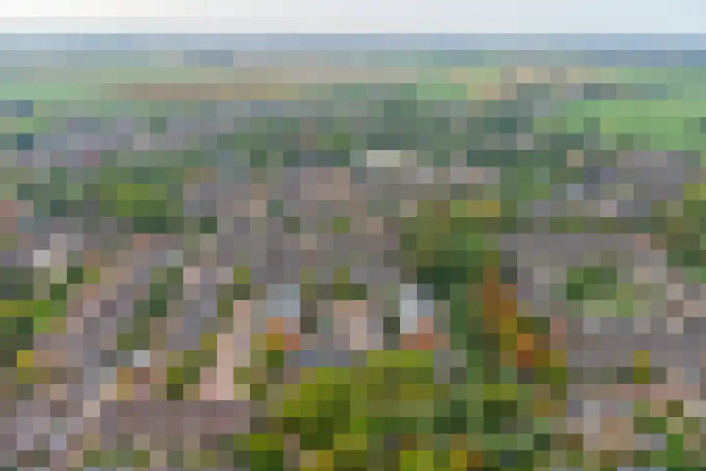 Patrijshof 9 Strijen thumbnail 51