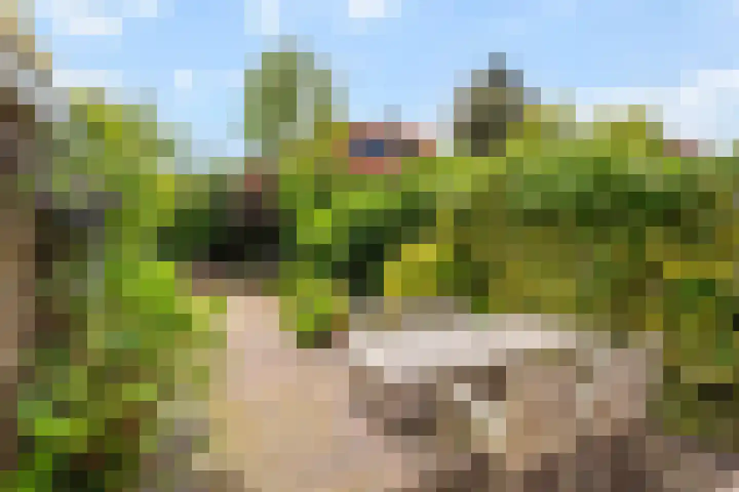 Patrijslaan 10 Den Haag thumbnail 11