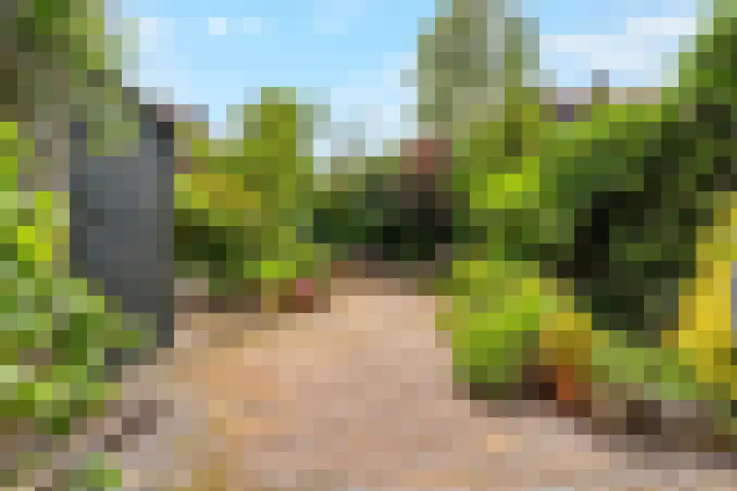 Patrijslaan 10 Den Haag thumbnail 12
