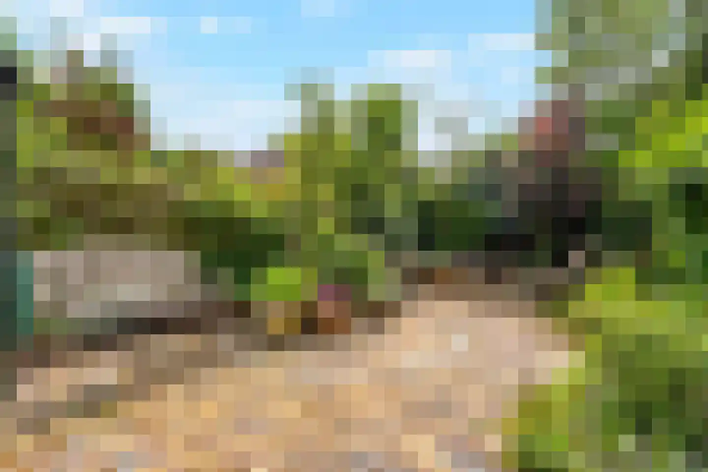 Patrijslaan 10 Den Haag thumbnail 13