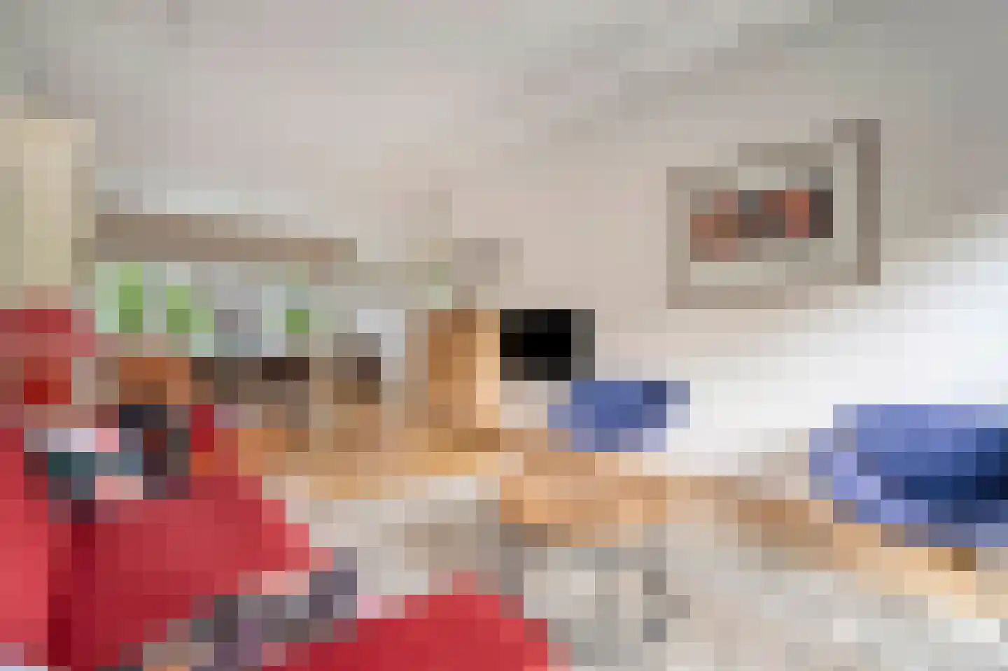 Patrijslaan 10 Den Haag thumbnail 15