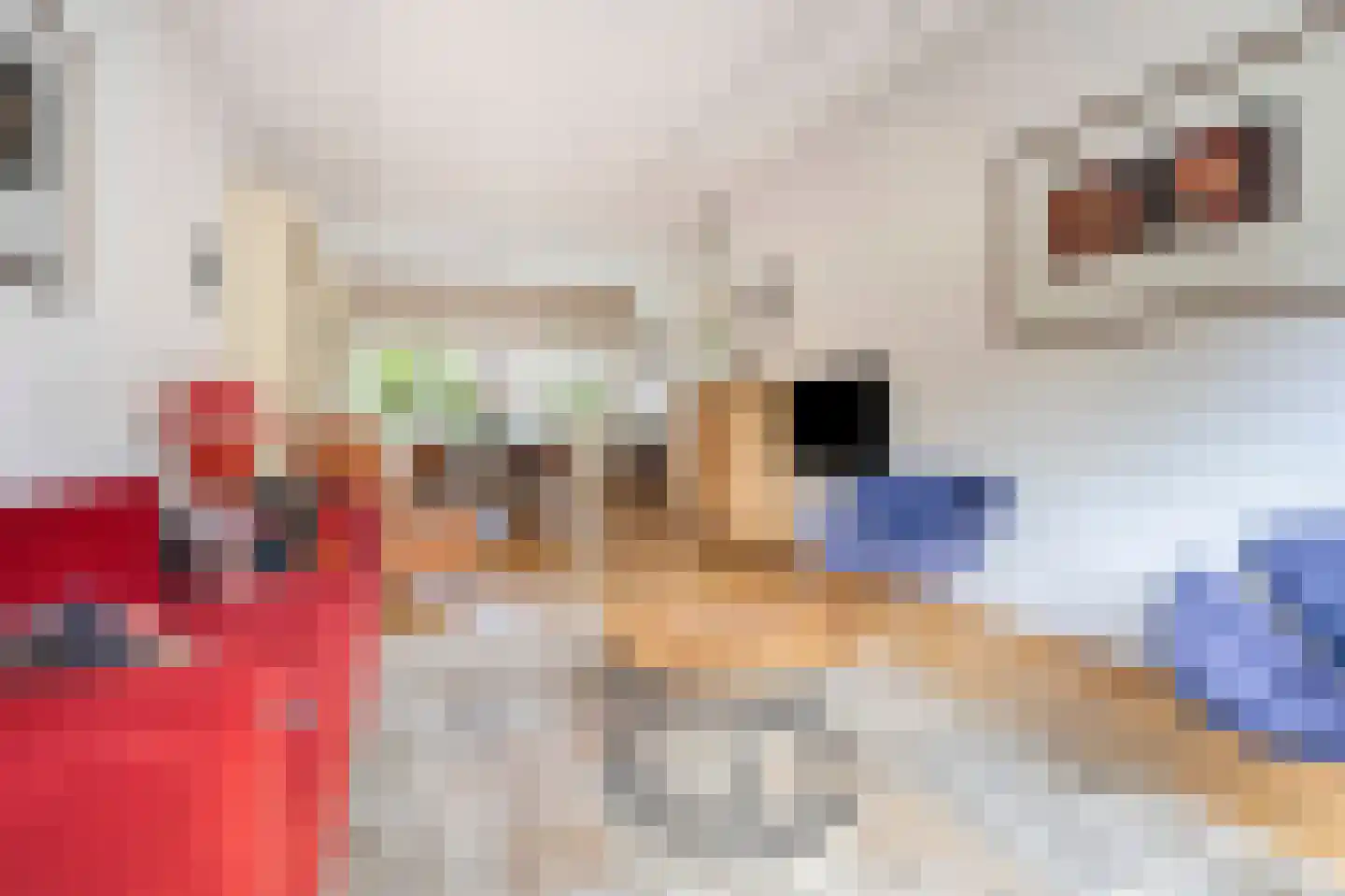 Patrijslaan 10 Den Haag thumbnail 16
