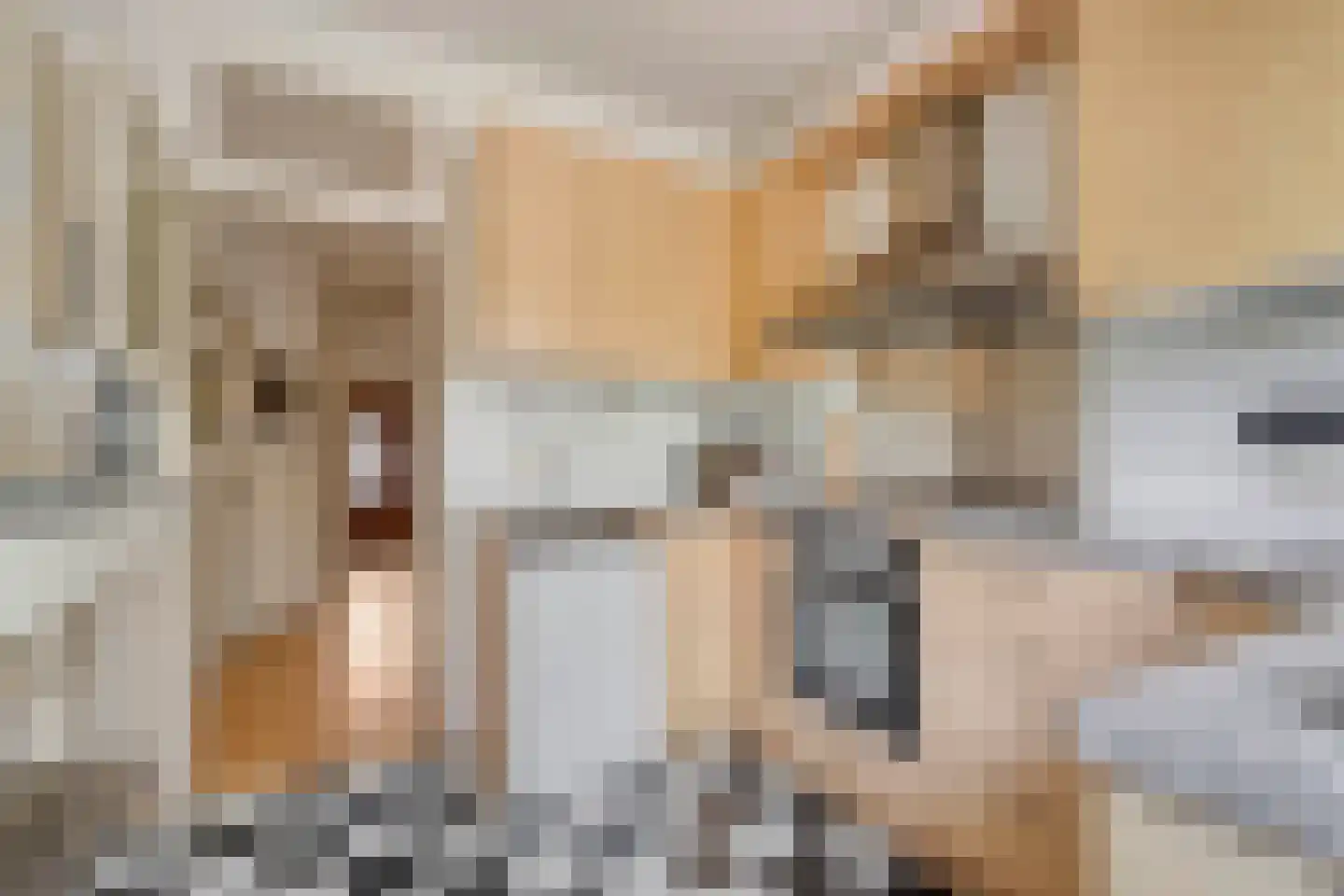 Patrijslaan 10 Den Haag thumbnail 20