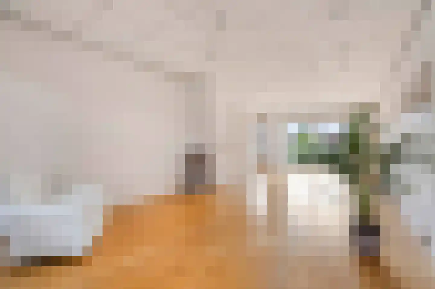 Patrijslaan 10 Den Haag thumbnail 22