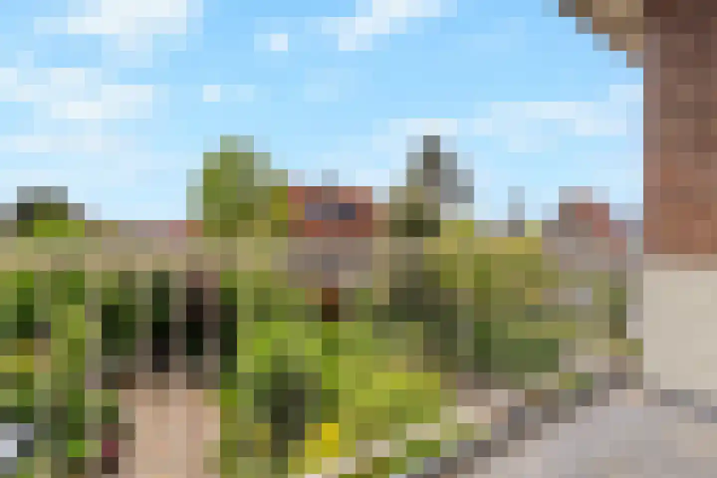 Patrijslaan 10 Den Haag thumbnail 24