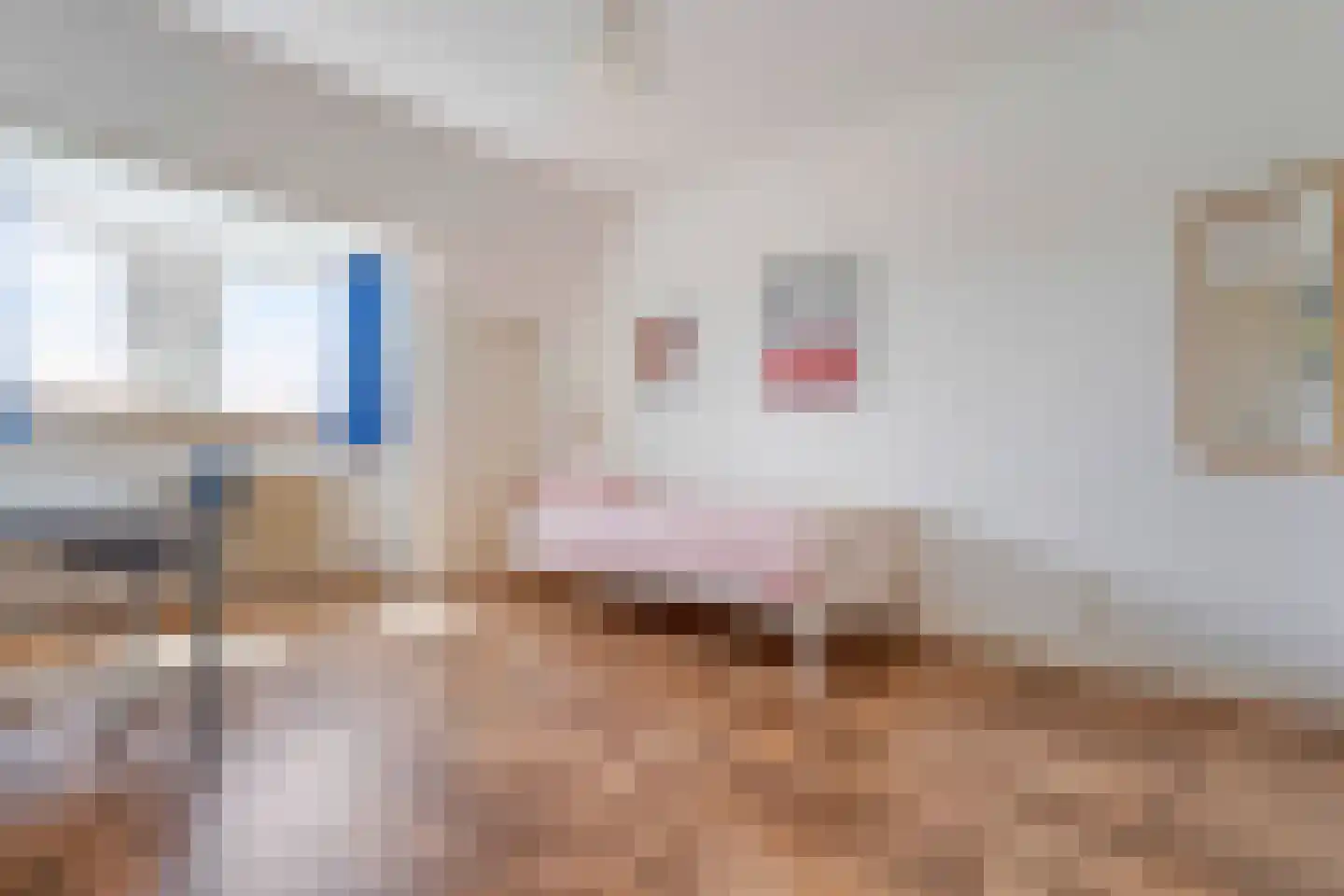 Patrijslaan 10 Den Haag thumbnail 35