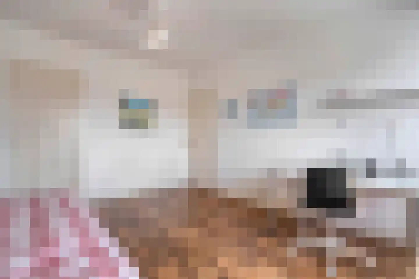 Patrijslaan 10 Den Haag thumbnail 37