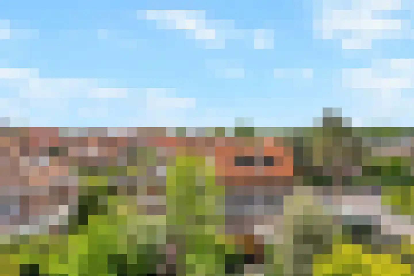 Patrijslaan 10 Den Haag thumbnail 49