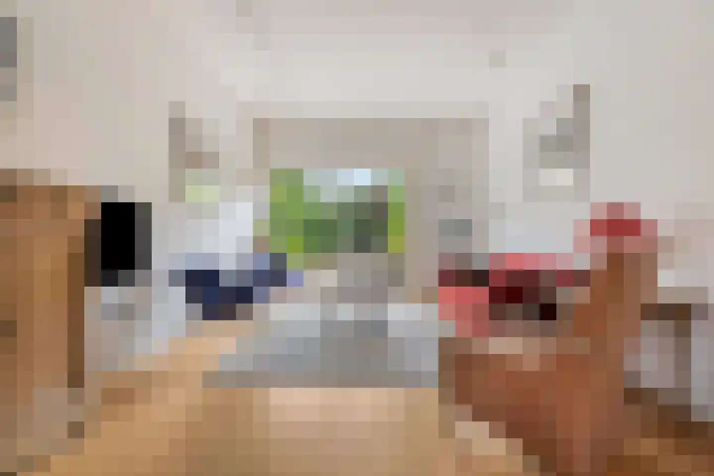 Patrijslaan 10 Den Haag thumbnail 9