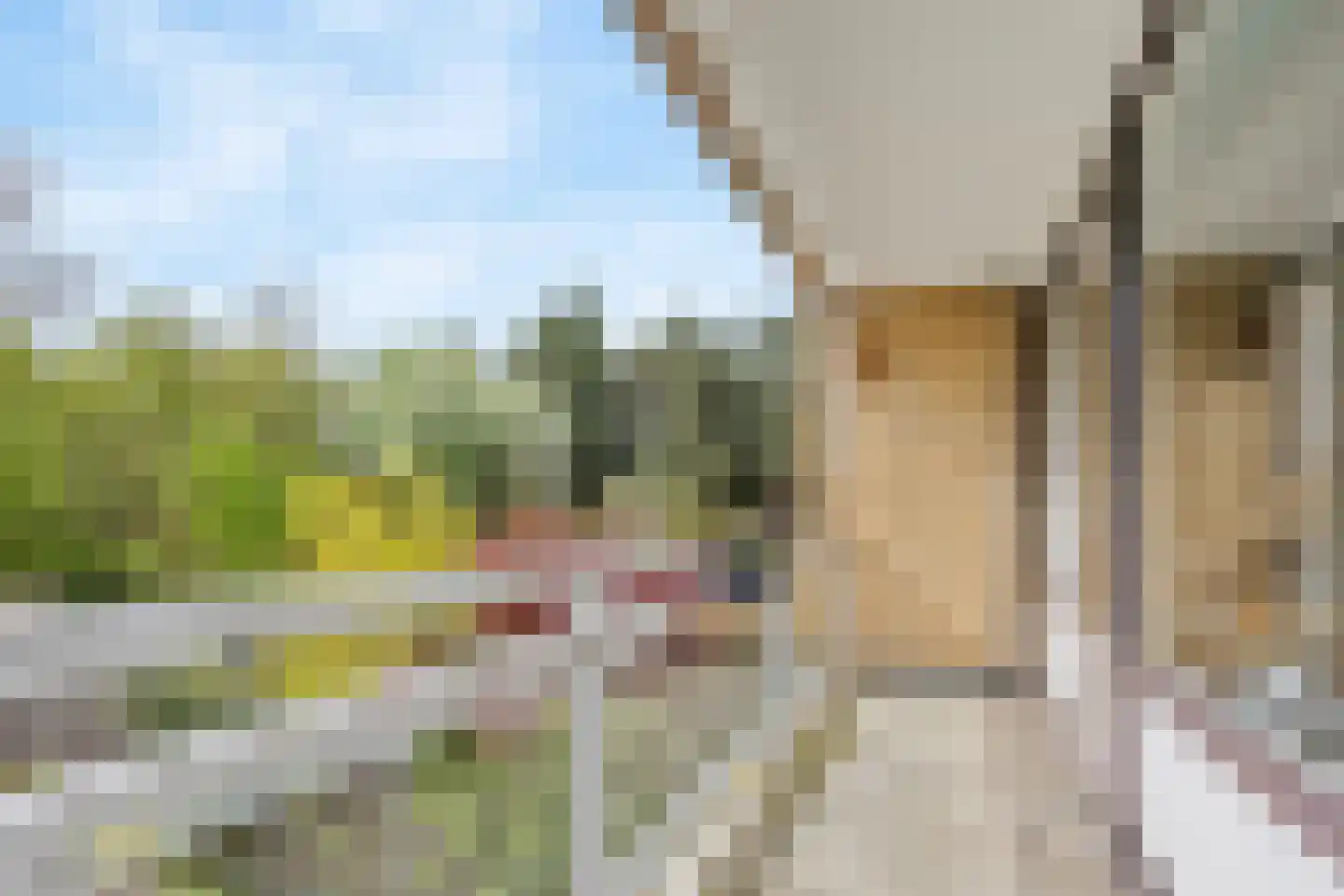 Patrijslaan 109 Leidschendam thumbnail 21