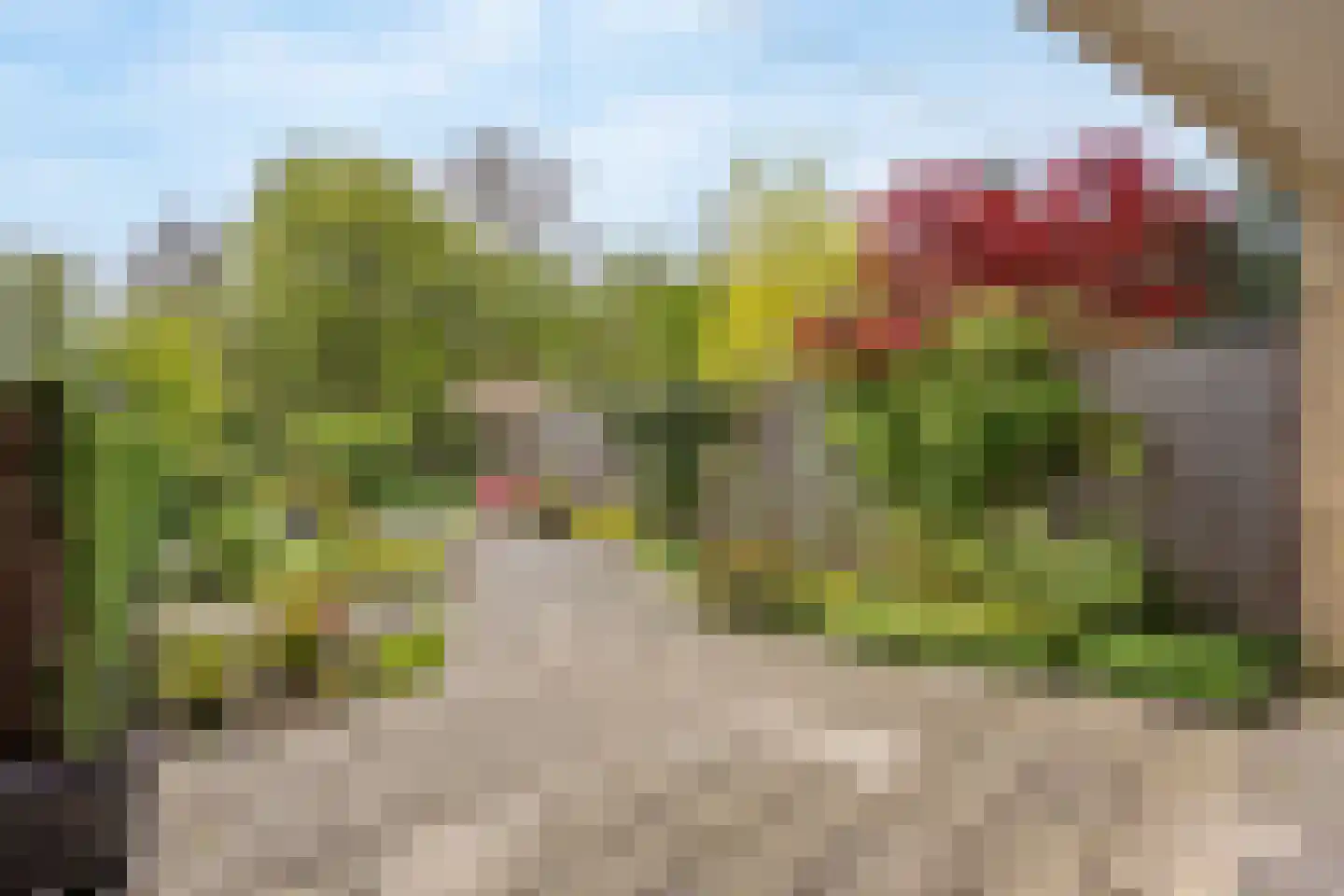 Patrijslaan 109 Leidschendam thumbnail 36