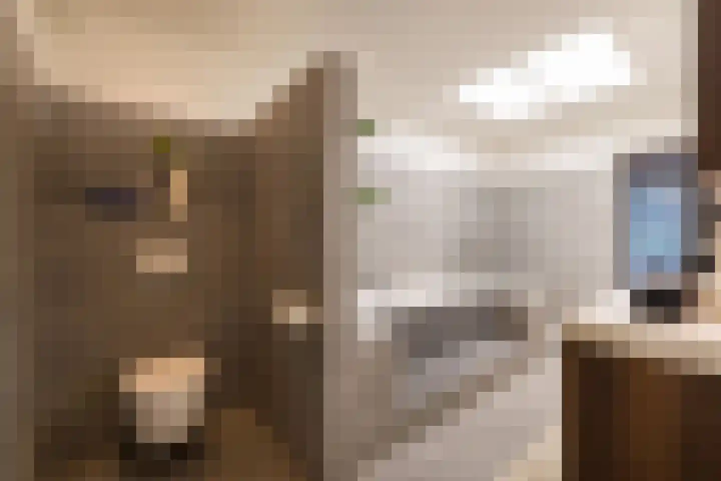 Patrijslaan 11 Best thumbnail 25