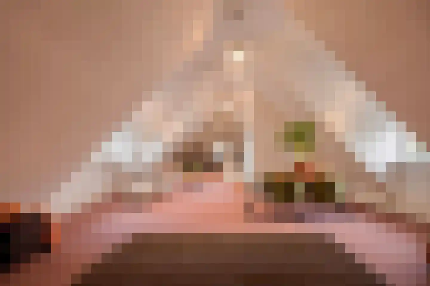 Patrijslaan 11 Best thumbnail 31