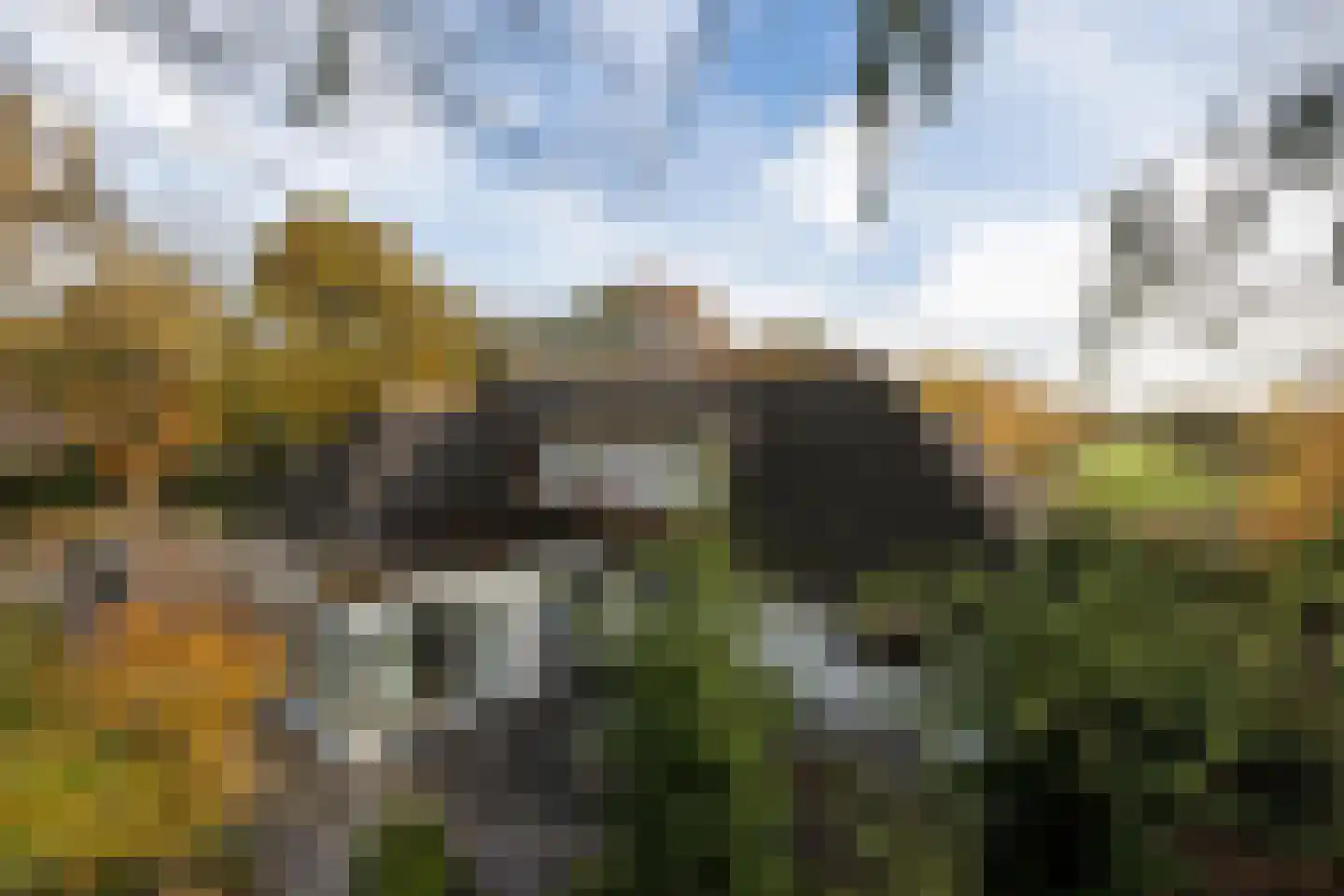Patrijslaan 11 Best thumbnail 34