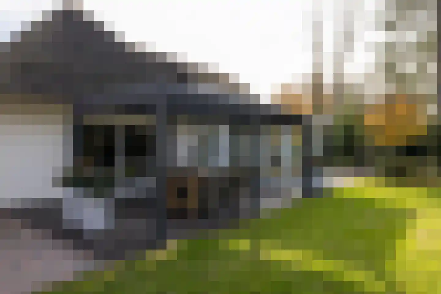 Patrijslaan 11 Best thumbnail 37