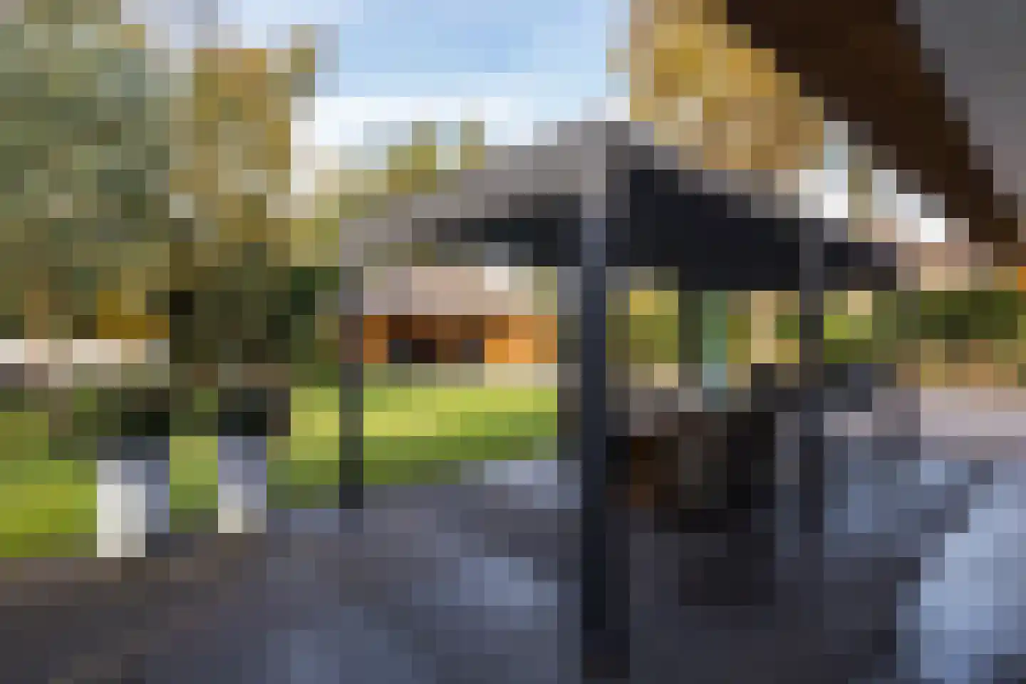 Patrijslaan 11 Best thumbnail 38