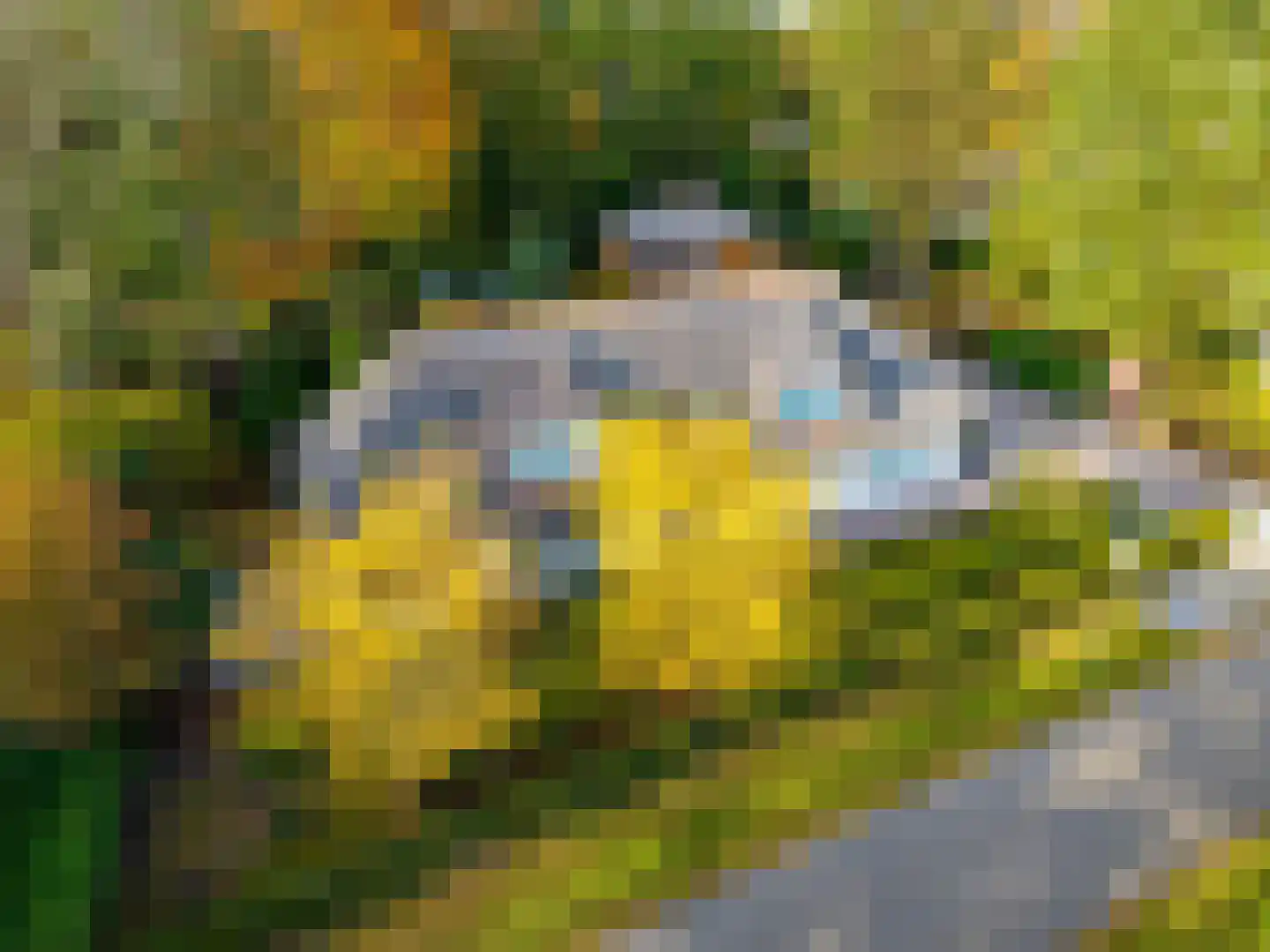 Patrijslaan 11 Best thumbnail 39