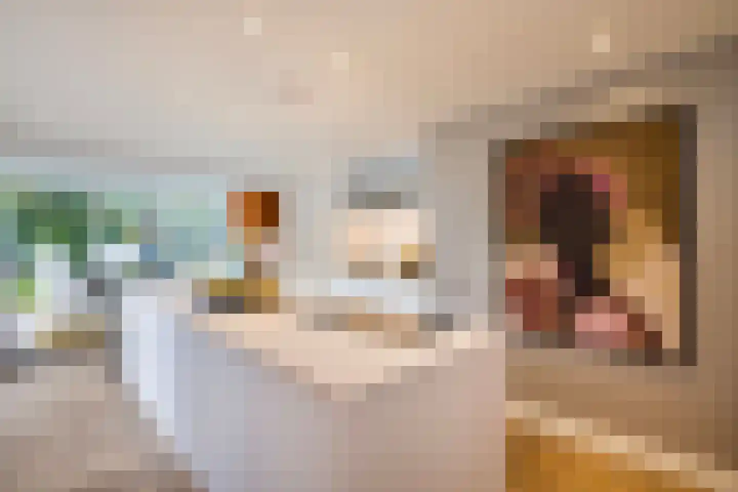 Patrijslaan 11 Best thumbnail 4
