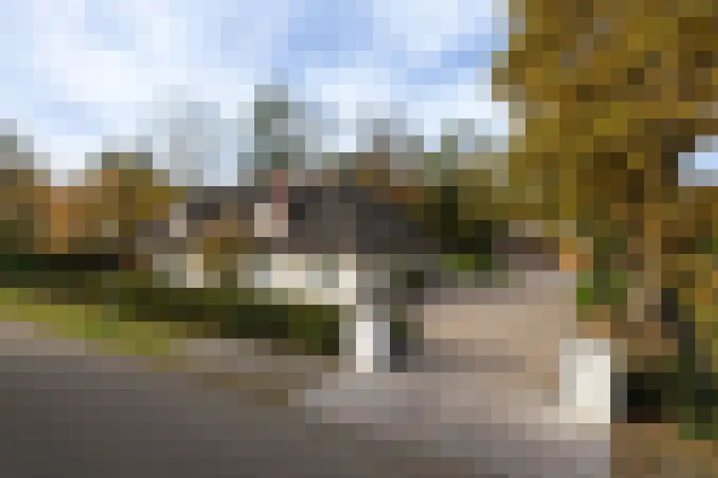 Patrijslaan 11 Best thumbnail 40