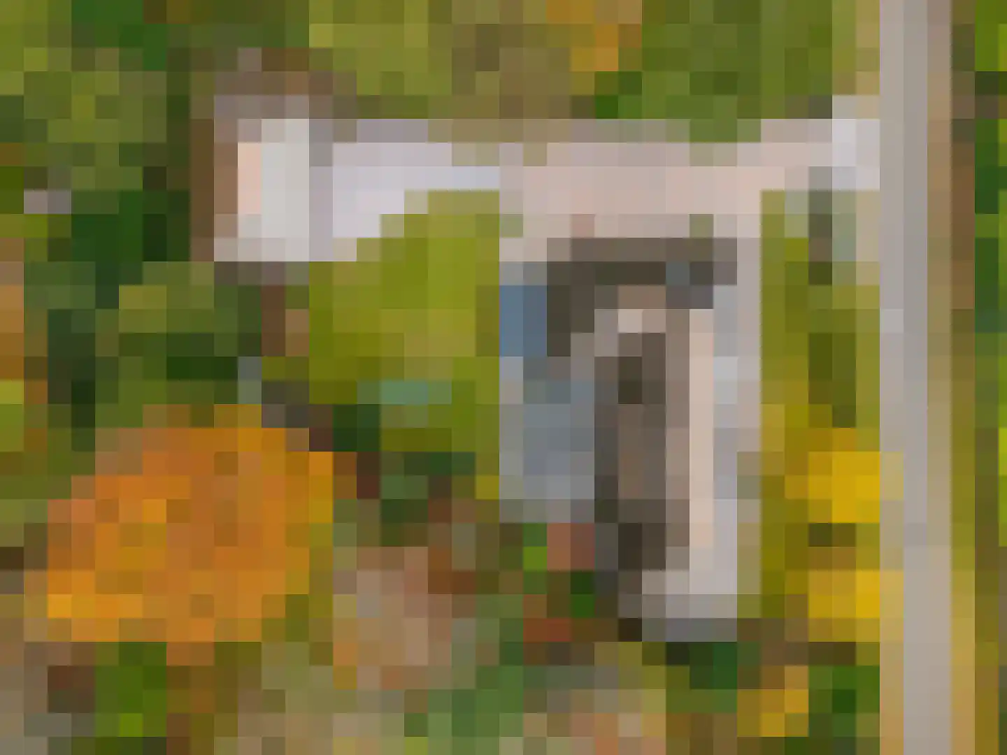 Patrijslaan 11 Best thumbnail 42