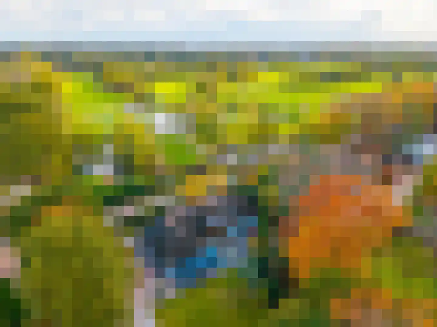 Patrijslaan 11 Best thumbnail 43