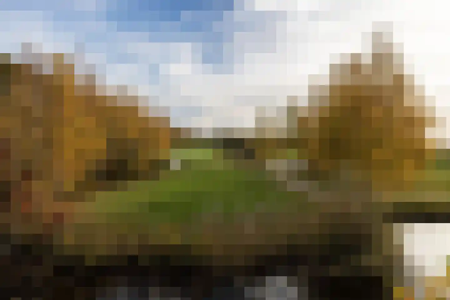 Patrijslaan 11 Best thumbnail 44