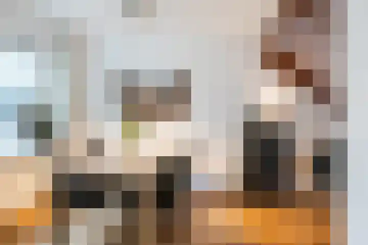 Patrijslaan 11 Ruinerwold thumbnail 10