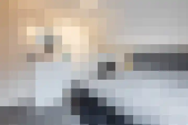 Patrijslaan 11 Ruinerwold thumbnail 19