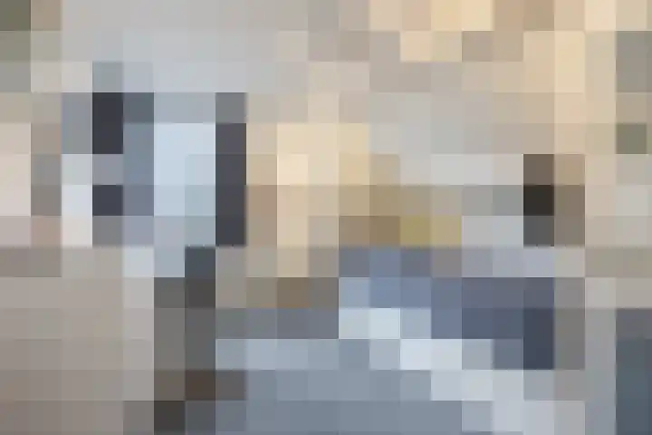 Patrijslaan 11 Ruinerwold thumbnail 20