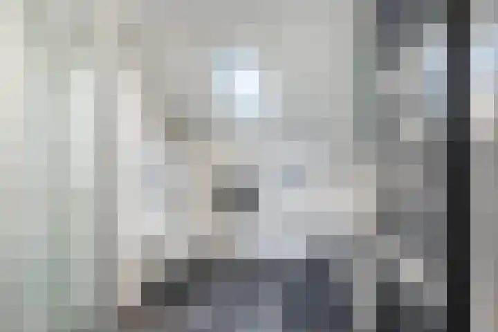 Patrijslaan 11 Ruinerwold thumbnail 25