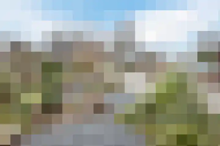 Patrijslaan 11 Ruinerwold thumbnail 30