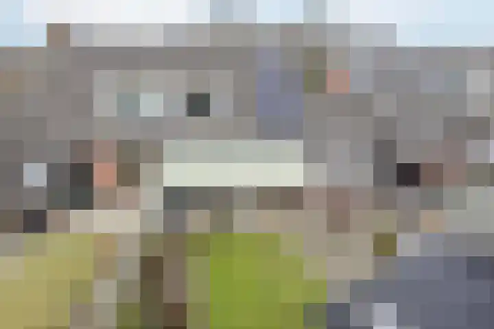 Patrijslaan 11 Ruinerwold thumbnail 31