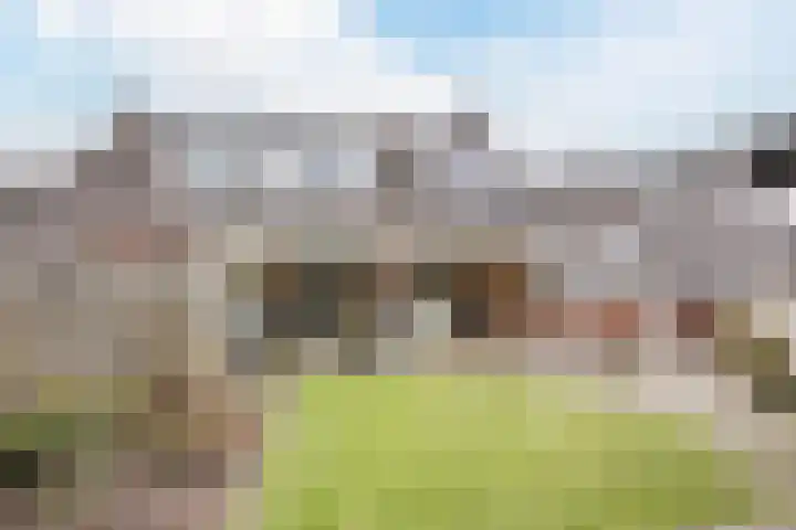 Patrijslaan 11 Ruinerwold thumbnail 33