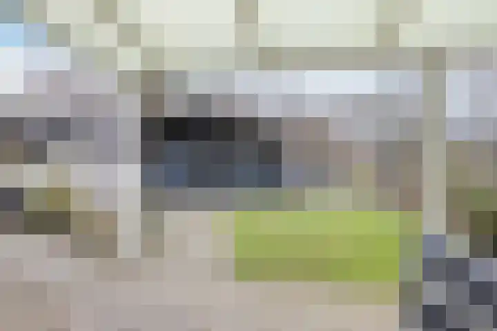 Patrijslaan 11 Ruinerwold thumbnail 35