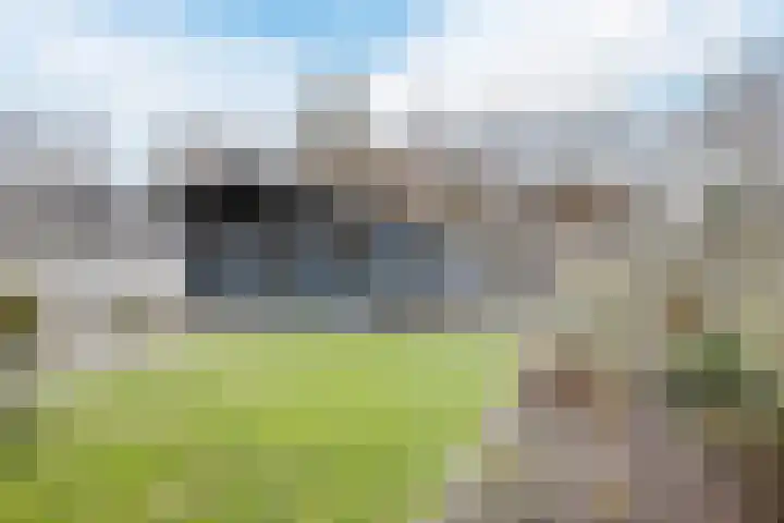 Patrijslaan 11 Ruinerwold thumbnail 36