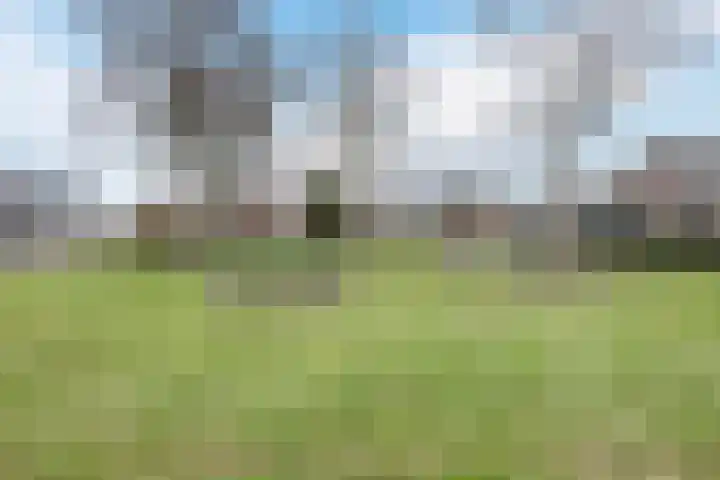 Patrijslaan 11 Ruinerwold thumbnail 37