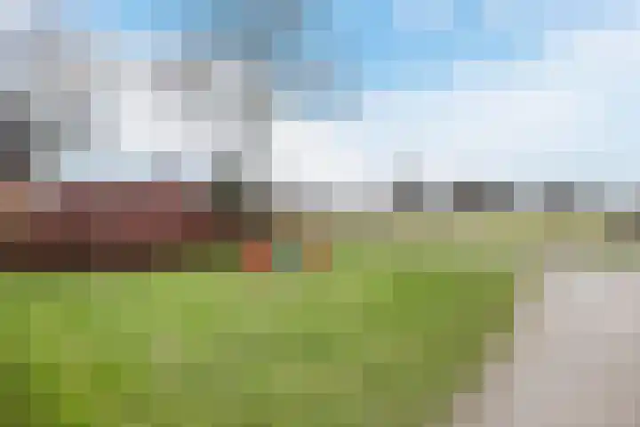 Patrijslaan 11 Ruinerwold thumbnail 38