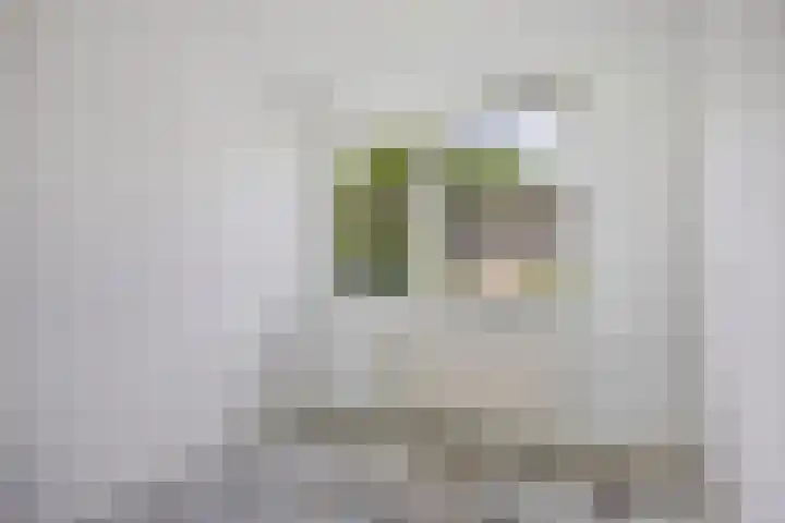 Patrijslaan 112 Beuningen Gld thumbnail 13