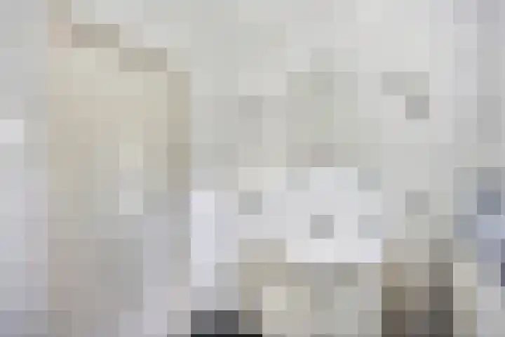 Patrijslaan 112 Beuningen Gld thumbnail 15