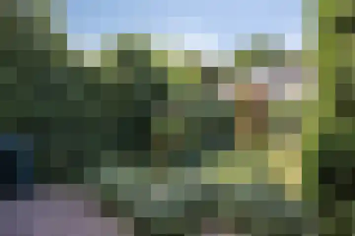 Patrijslaan 112 Beuningen Gld thumbnail 21
