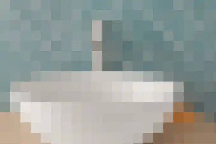 Patrijslaan 112 Dieren thumbnail 18