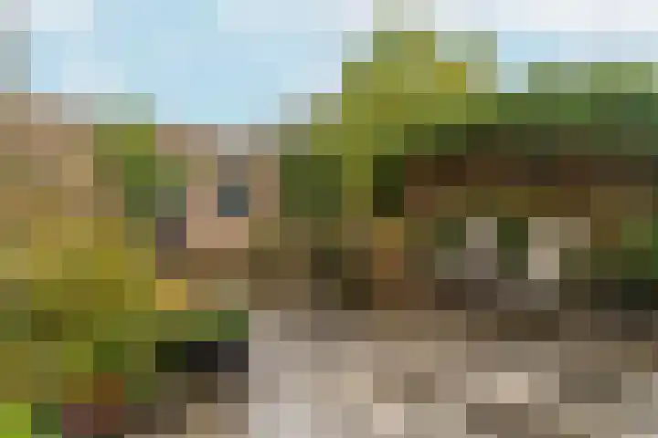 Patrijslaan 112 Dieren thumbnail 31