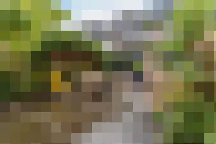 Patrijslaan 112 Dieren thumbnail 32