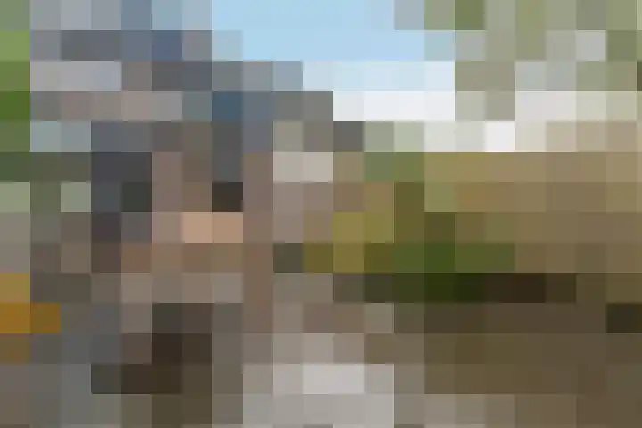 Patrijslaan 112 Dieren thumbnail 33